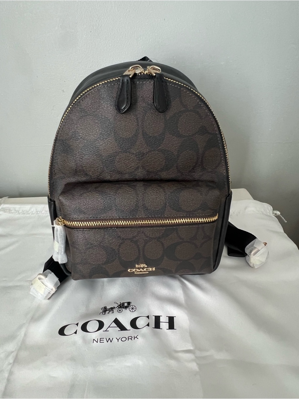 Coach Mini Backpack In Signature Canvas